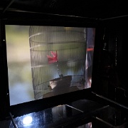 ZUR cabanobscura-31756